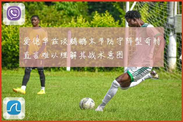 爱德华兹谈鹈鹕末节防守阵型奇特直言难以理解其战术意图