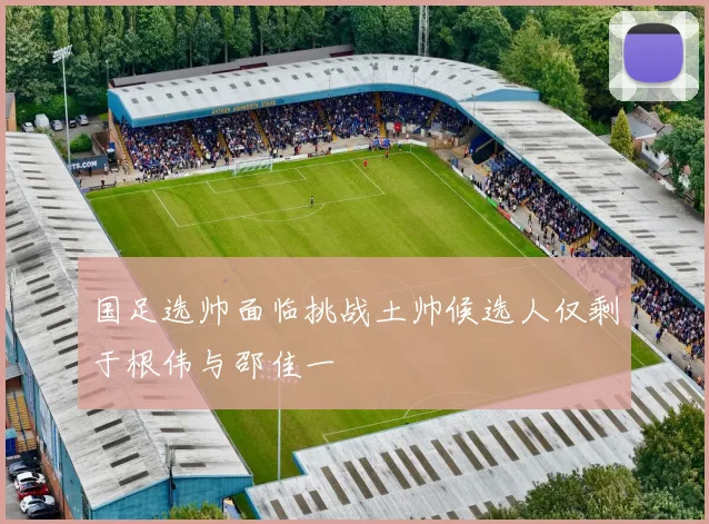 国足选帅面临挑战土帅候选人仅剩于根伟与邵佳一