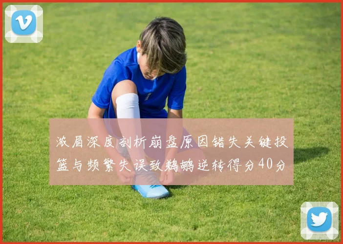 浓眉深度剖析崩盘原因错失关键投篮与频繁失误致鹈鹕逆转得分40分