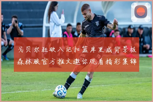 戈贝尔狂砍八记扣篮库里成背景板森林狼官方推文邀你观看精彩集锦