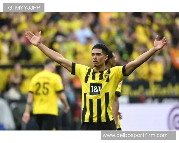 前裁判揭示在伯纳乌执法的风险与挑战引发广泛关注